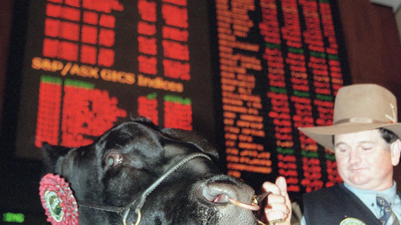 An Angus bull infront of an ASX board