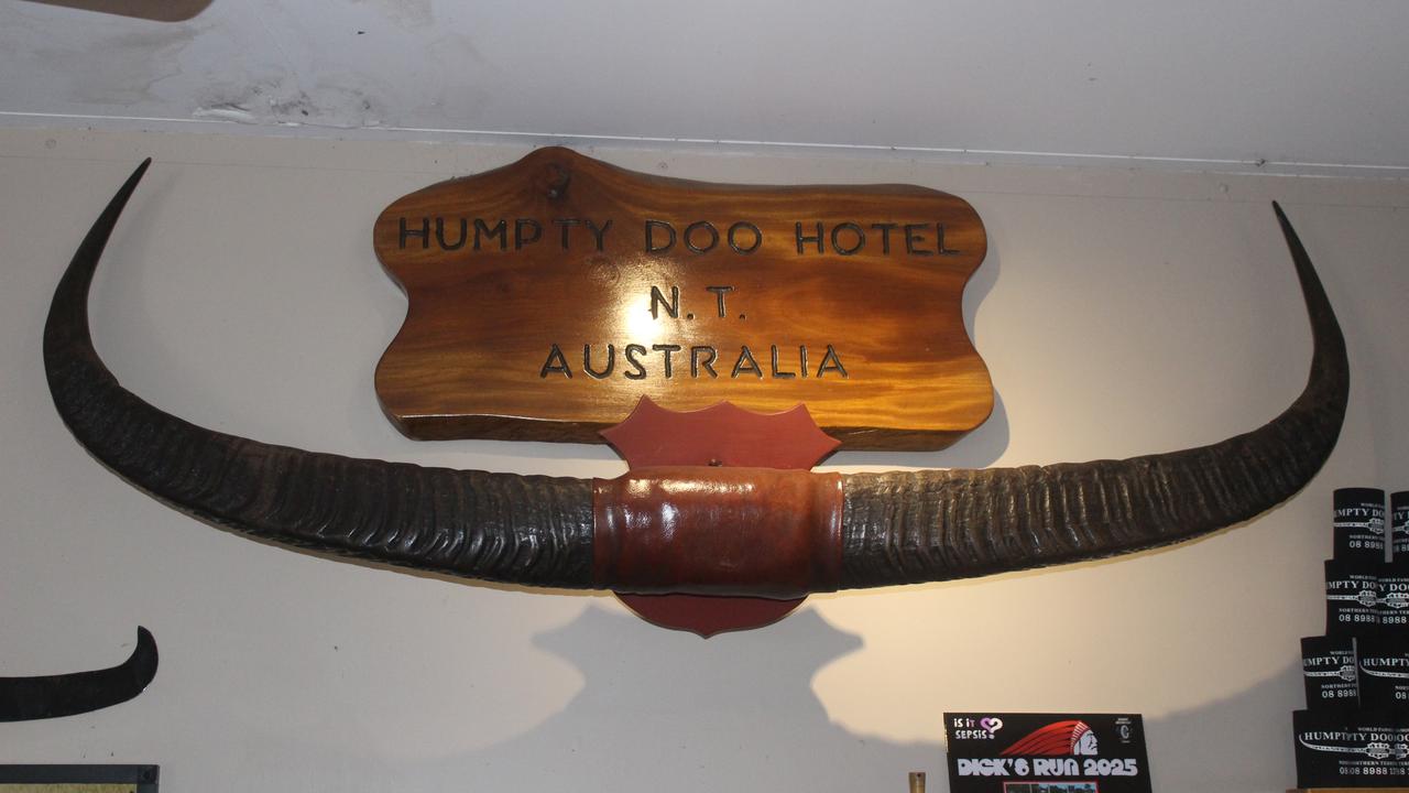 Humpty Doo buffalo horns