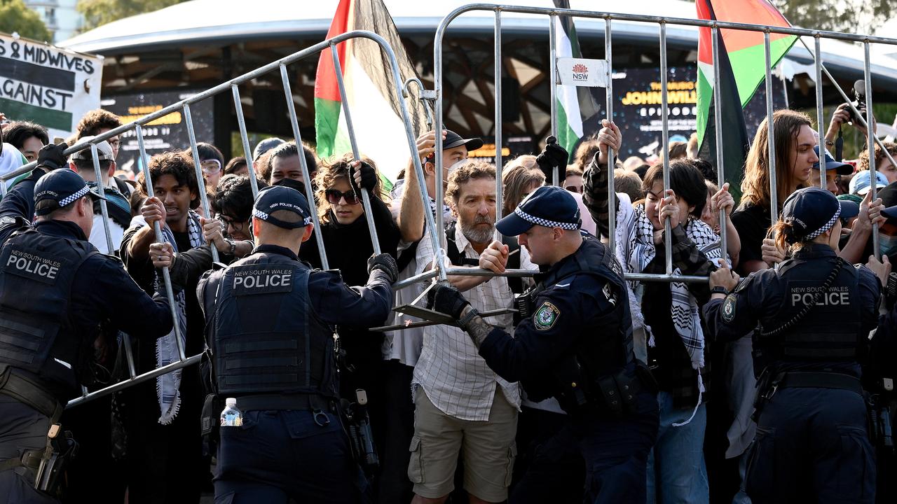 Palestine Action Group demo (file)