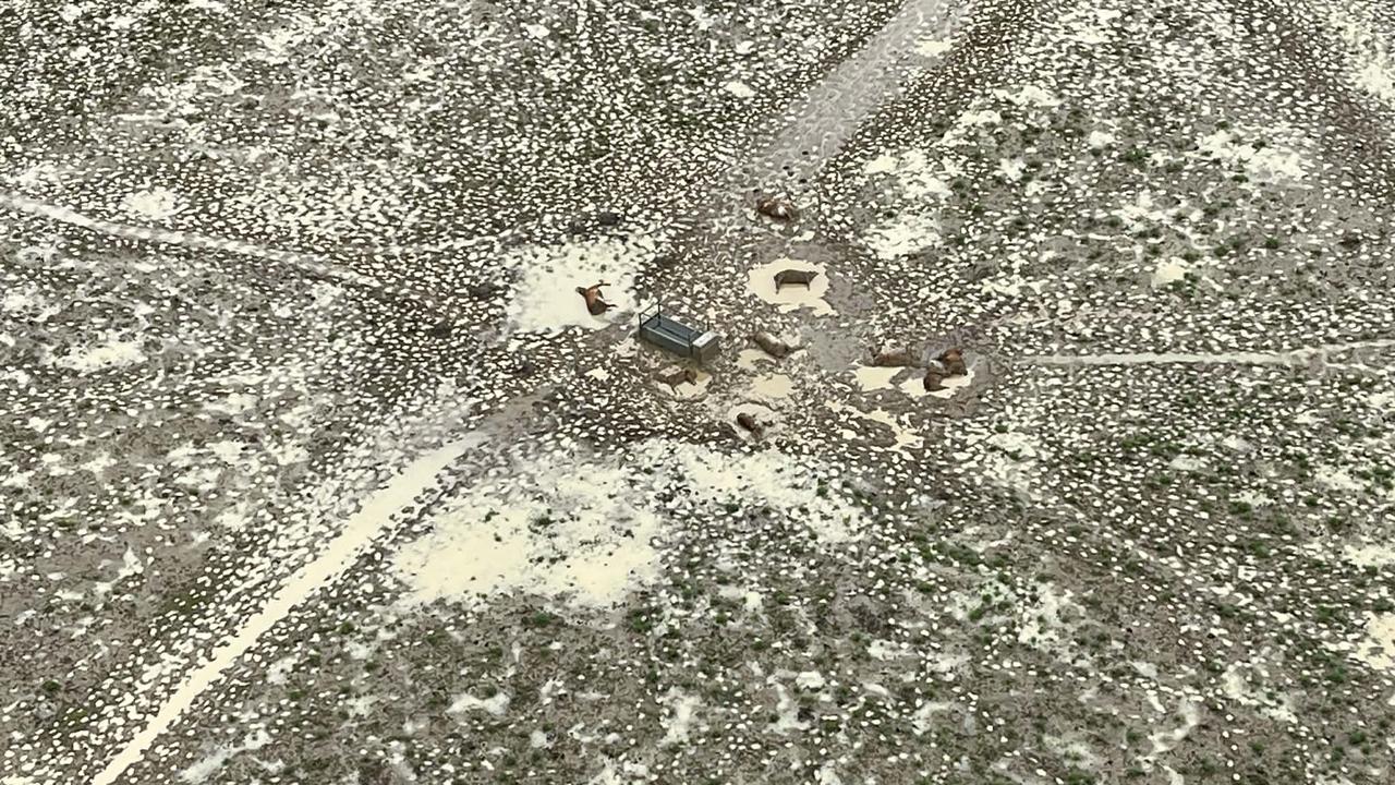Flooding in Queensland