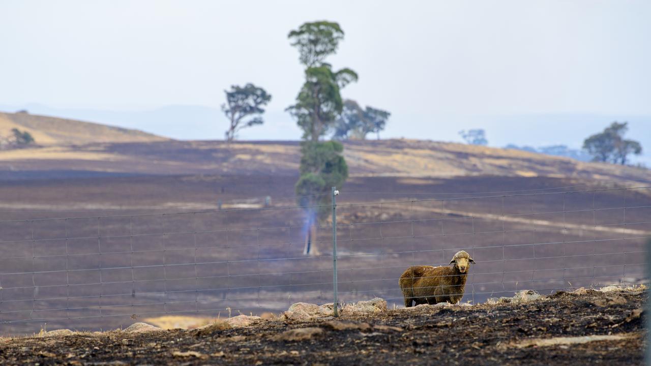 Upton Hill, Victoria