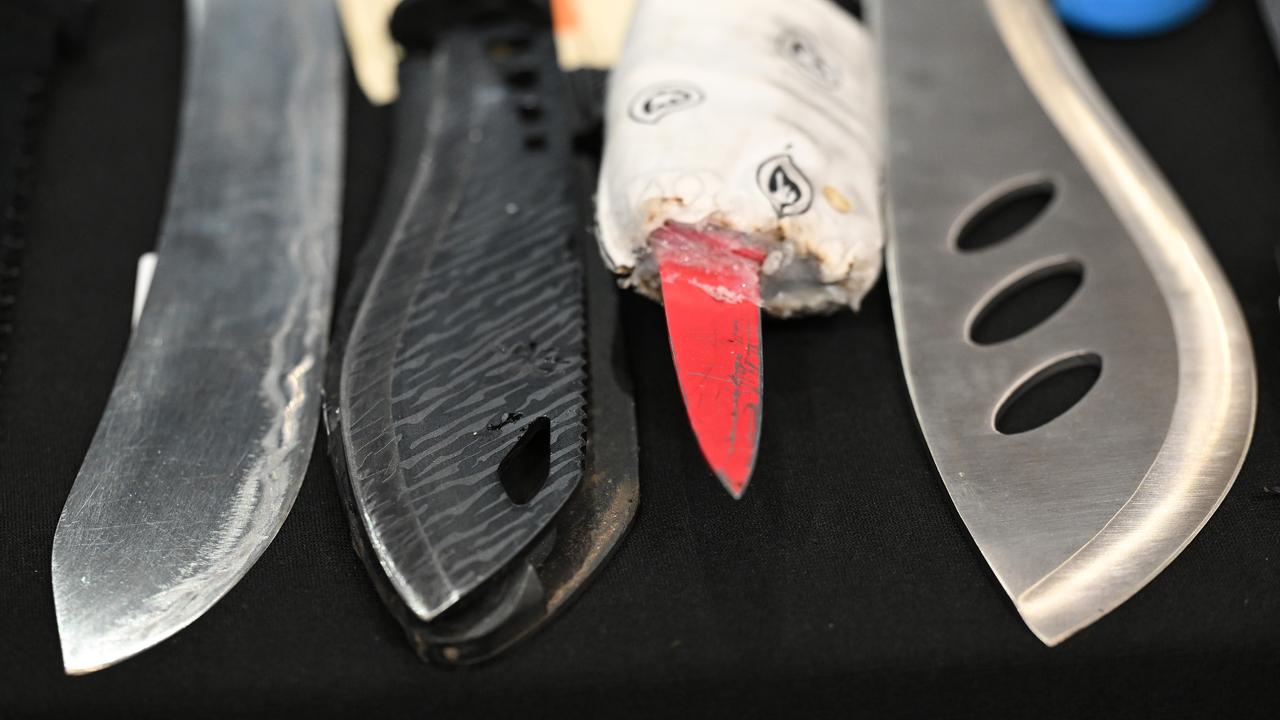 Knives and machetes (file image)