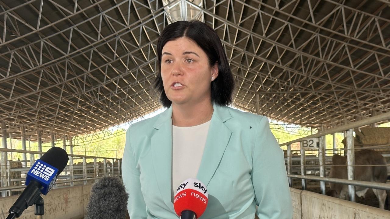 Natasha Fyles (file)