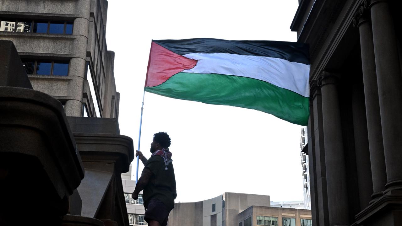 Pro-Palestinian protester