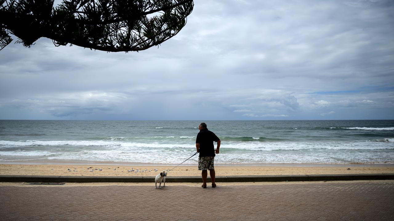 North Steyne Beach in Sydney