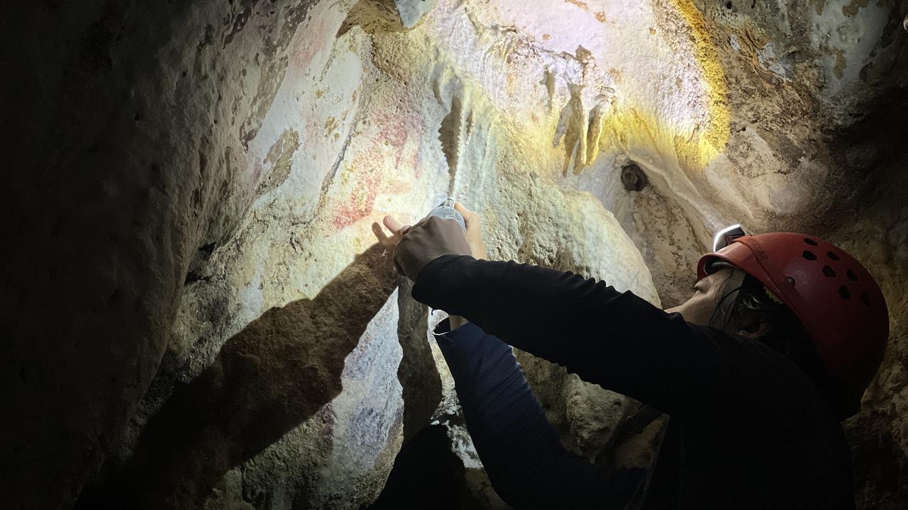 A researcher in Sulawesi 