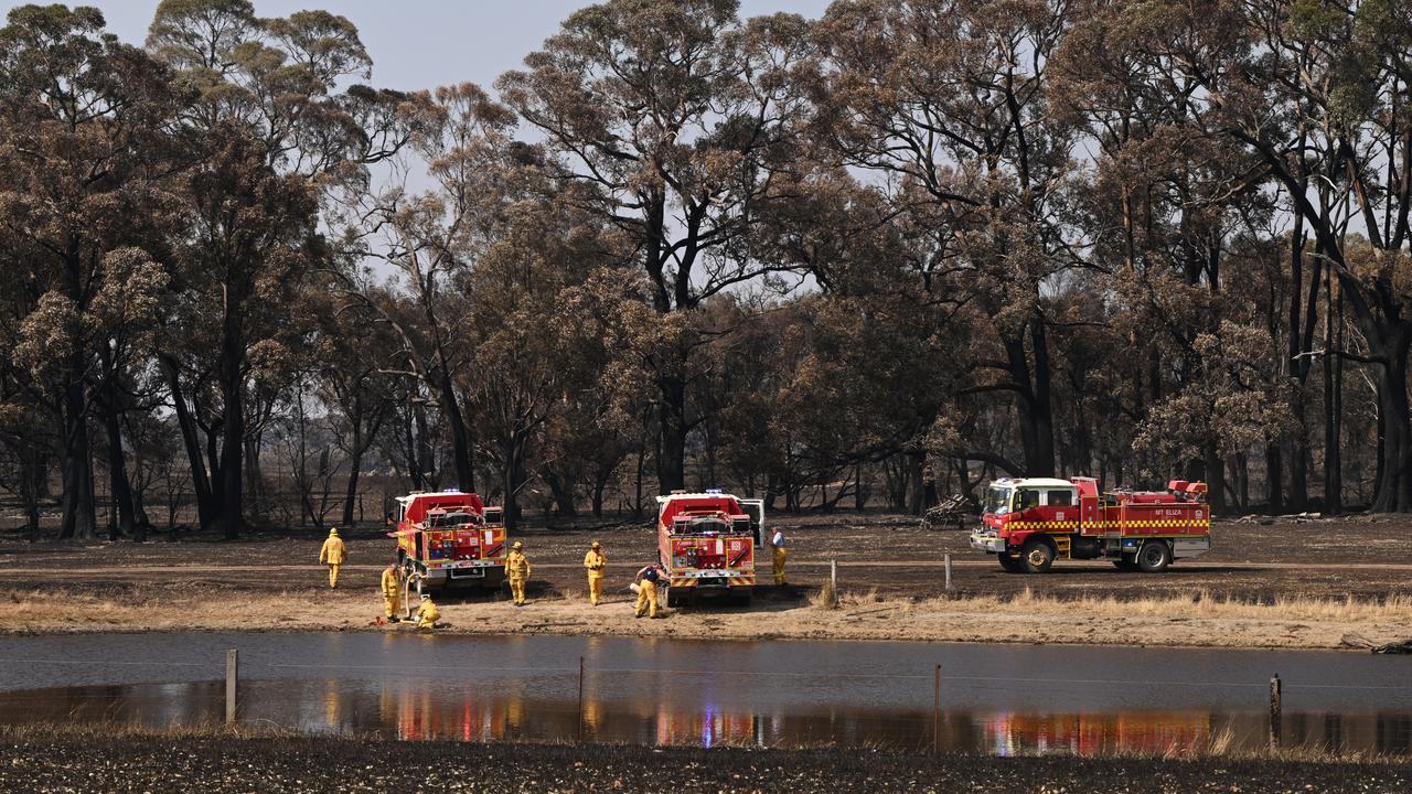 Firefighters and trucks