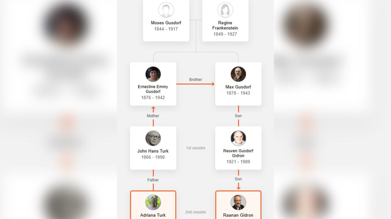 MyHeritage DNA chart