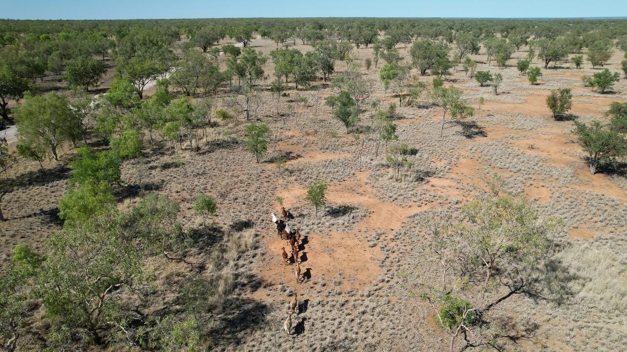 Kimberley region of Western Australia