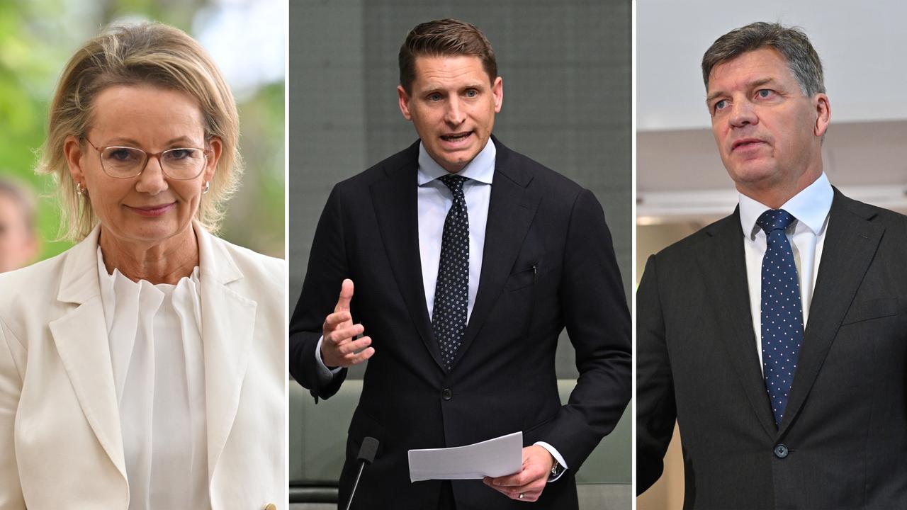 Sussan Ley, Andrew Hastie and Angus Taylor (file images)