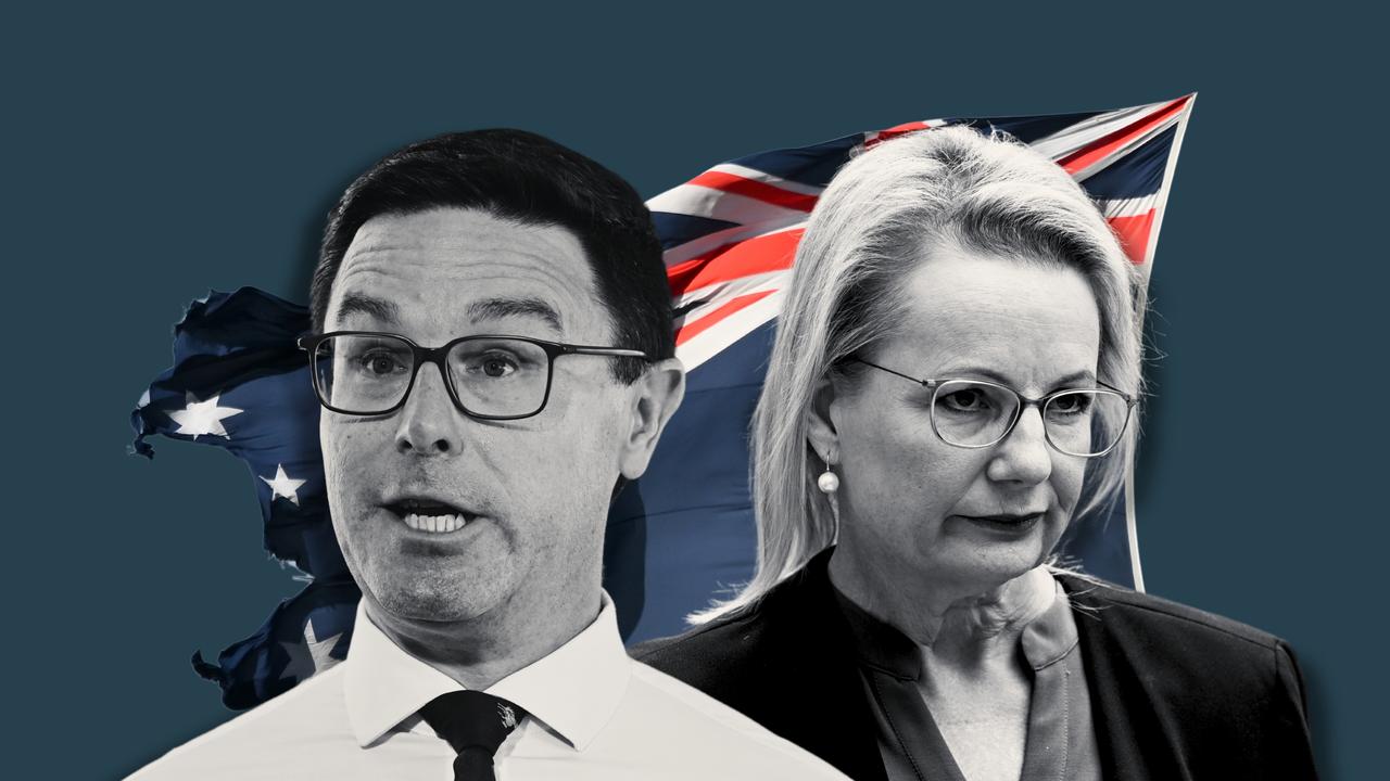 David Littleproud and Sussan Ley (file images)