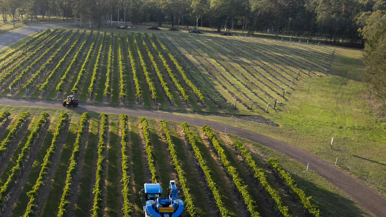 Wombat Crossing Vineyards