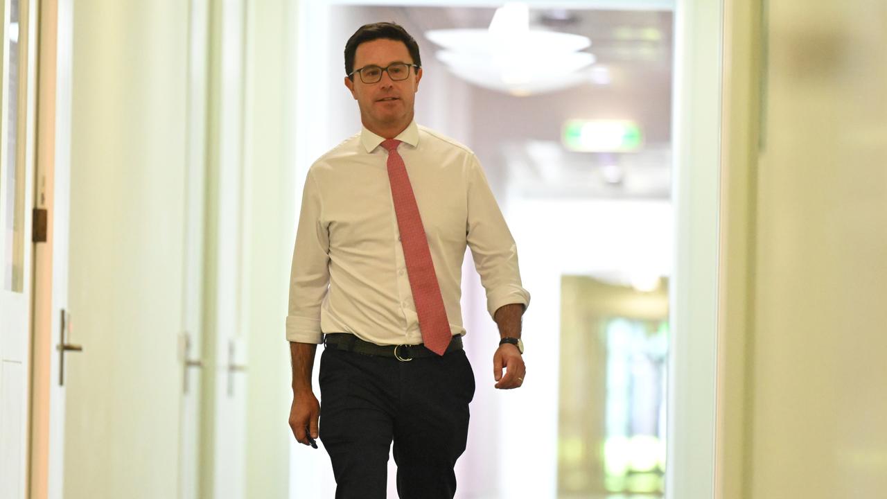 Nationals leader David Littleproud