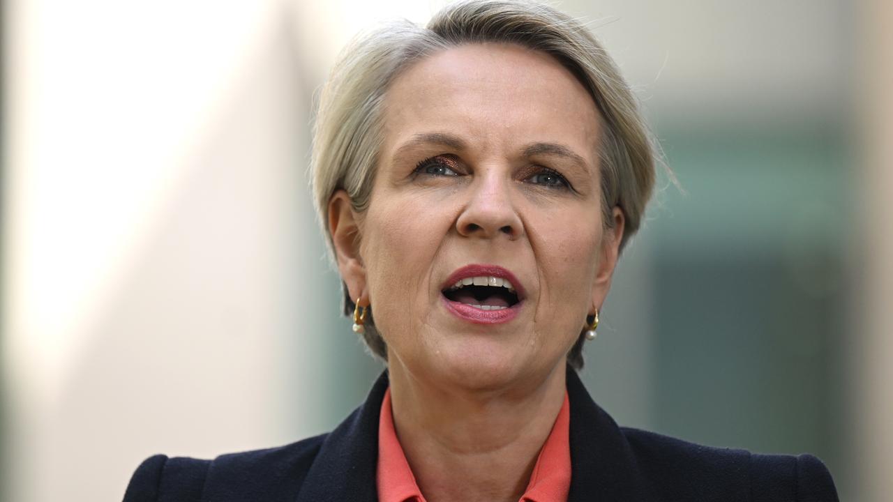 Social Services Minister Tanya Plibersek