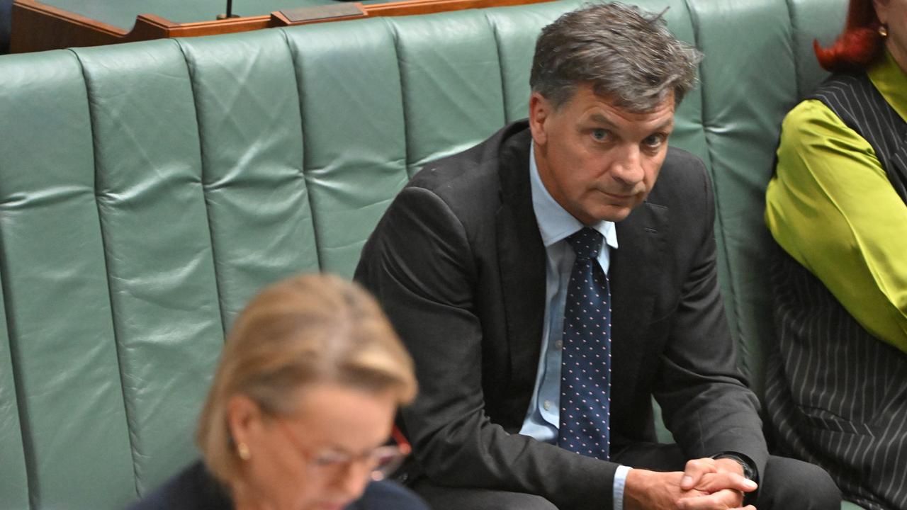 Sussan Ley and Angus Taylor