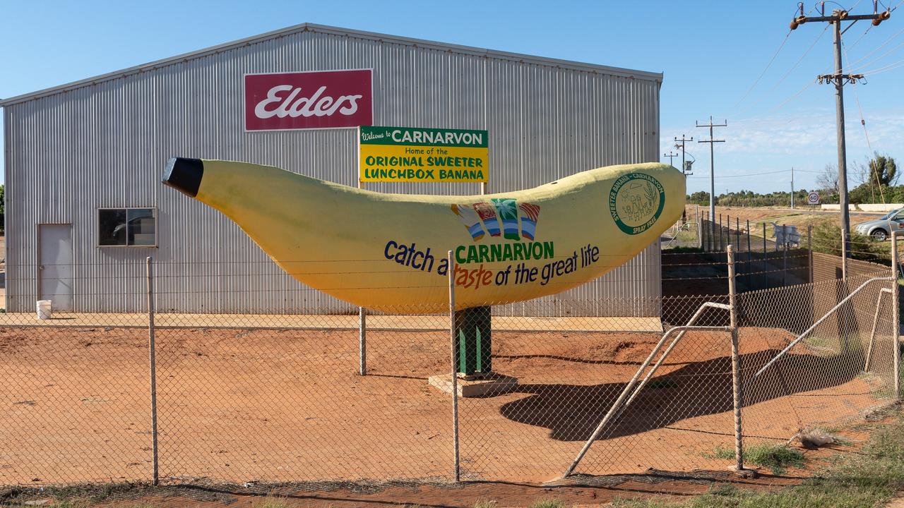 The Big Banana in Carnarvon (file image)
