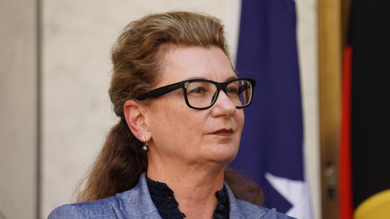 Chief executive of NBN Co Ellie Sweeney (file image)