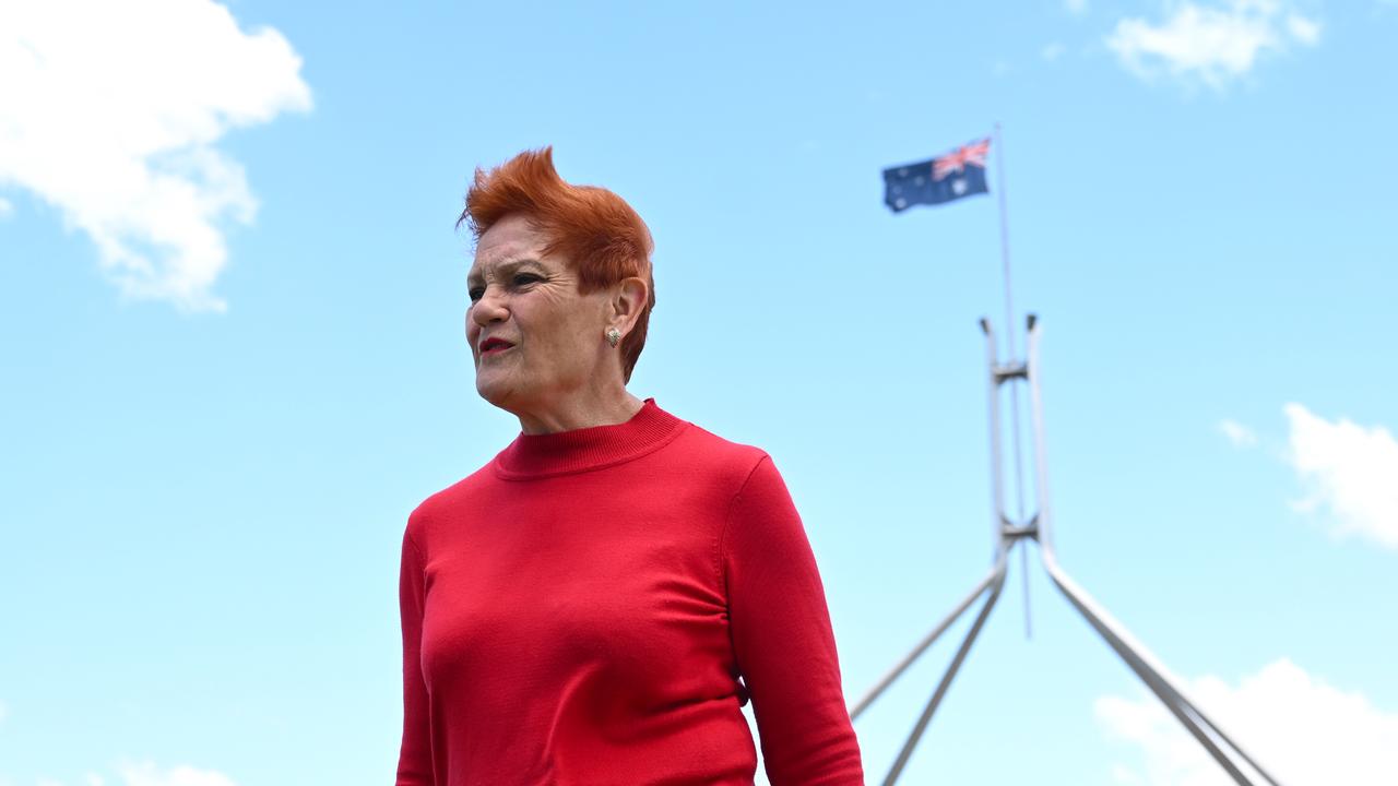 One Nation Senator Pauline Hanson