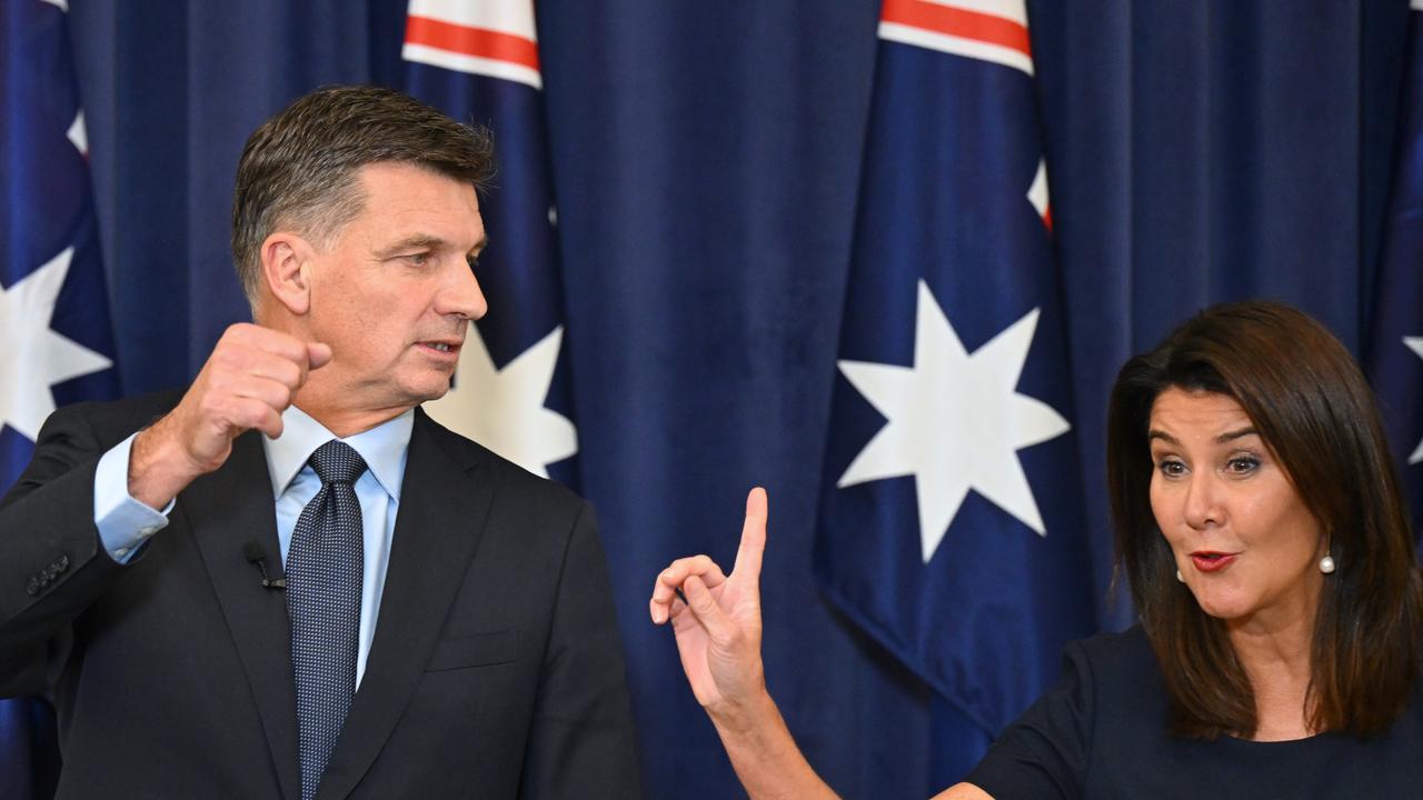 Angus Taylor and his deputy Jane Hume