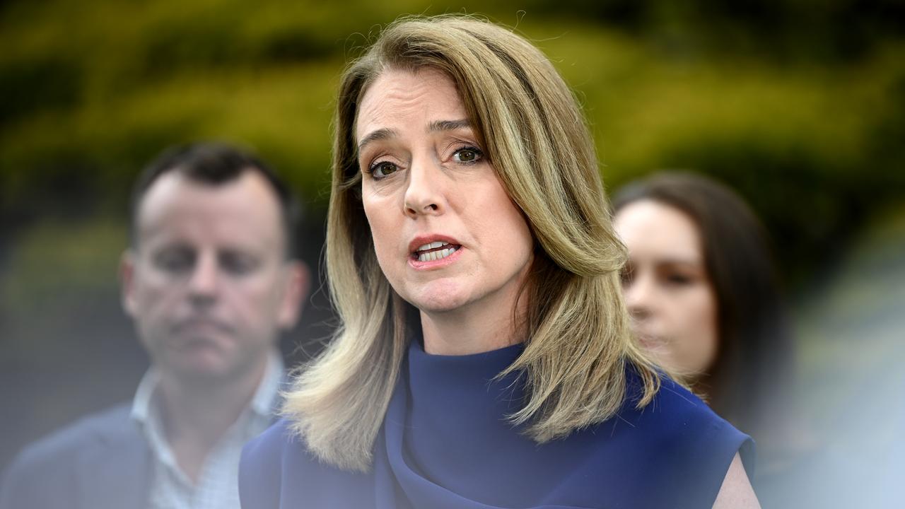 NSW Opposition Leader Kellie Sloane