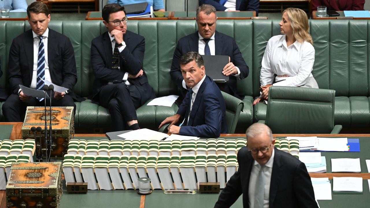 Angus Taylor and Anthony Albanese during Question Time
