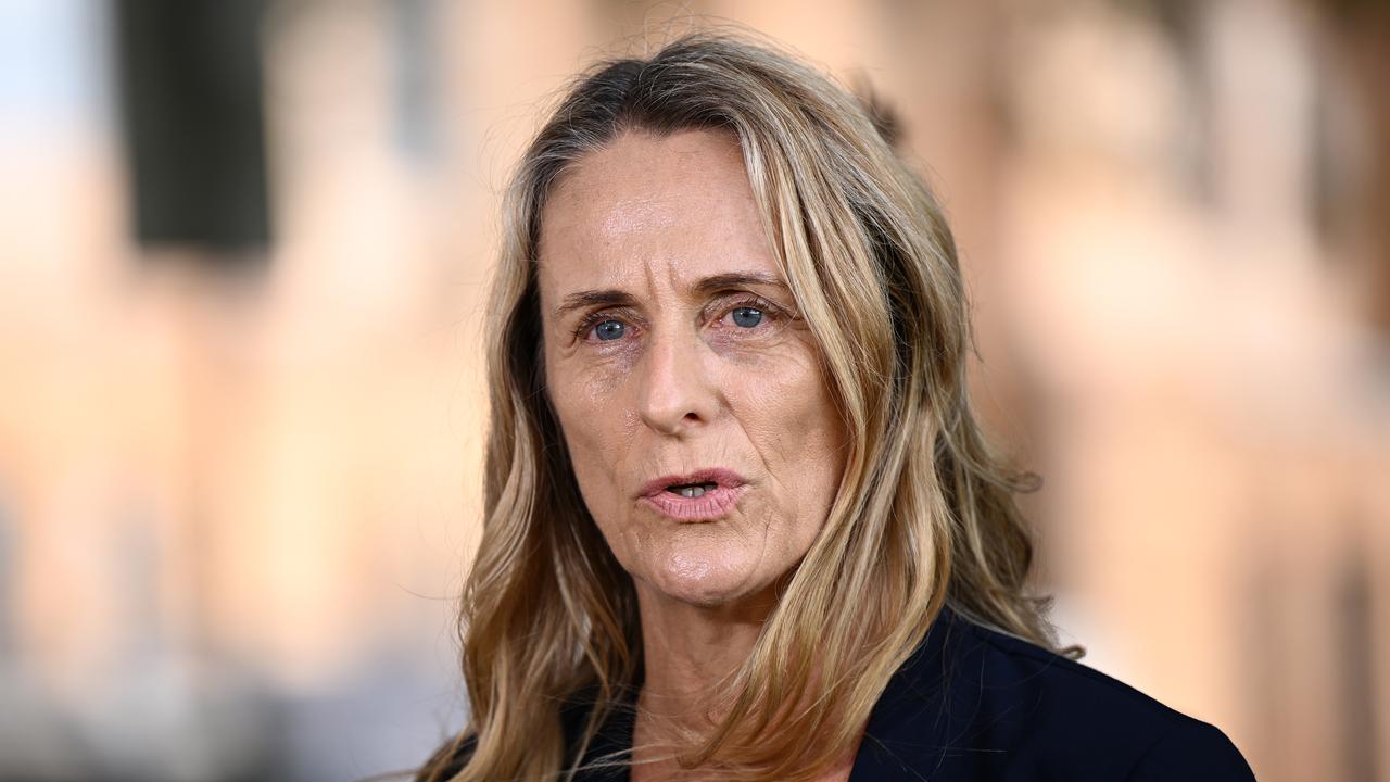 NSW Greens MP Sue Higginson