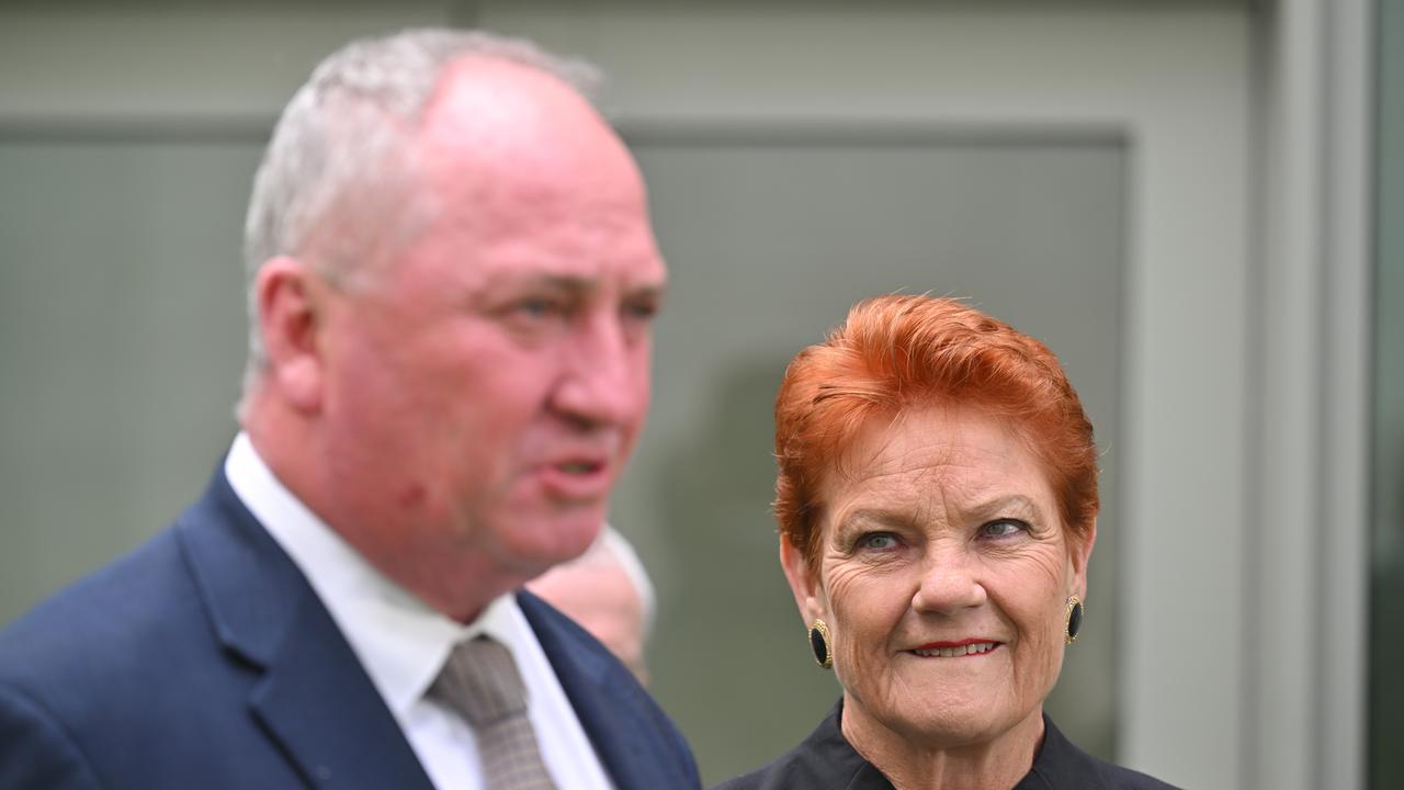 Barnaby Joyce and Pauline Hanson (file image)