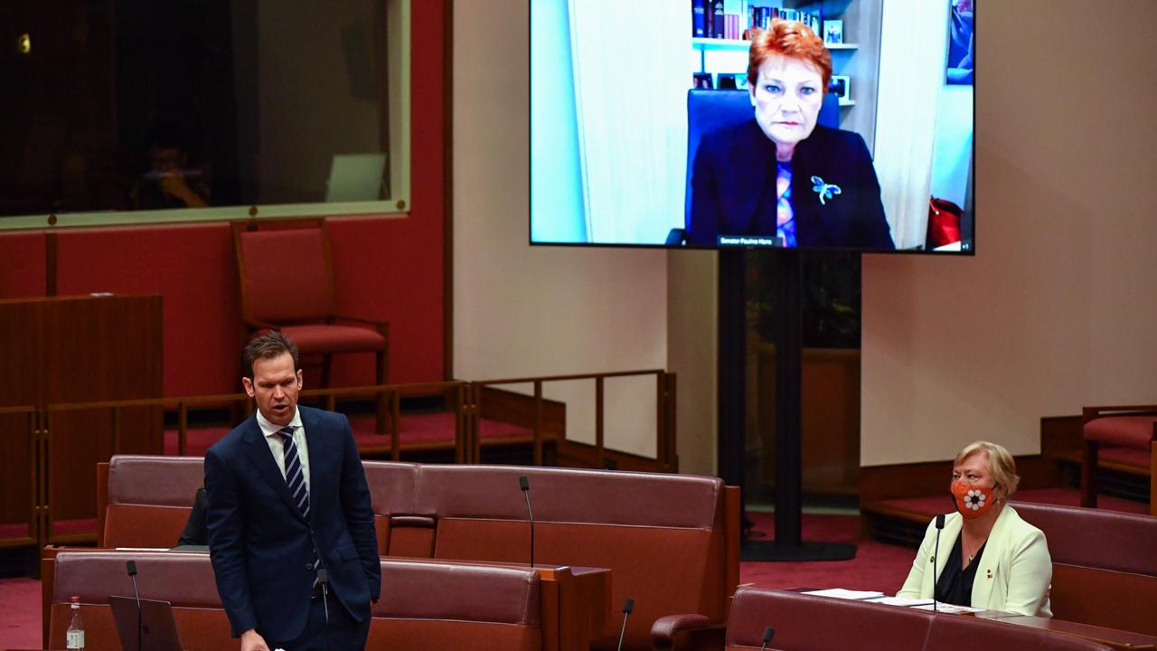 Matt Canavan and Pauline Hanson (file image)