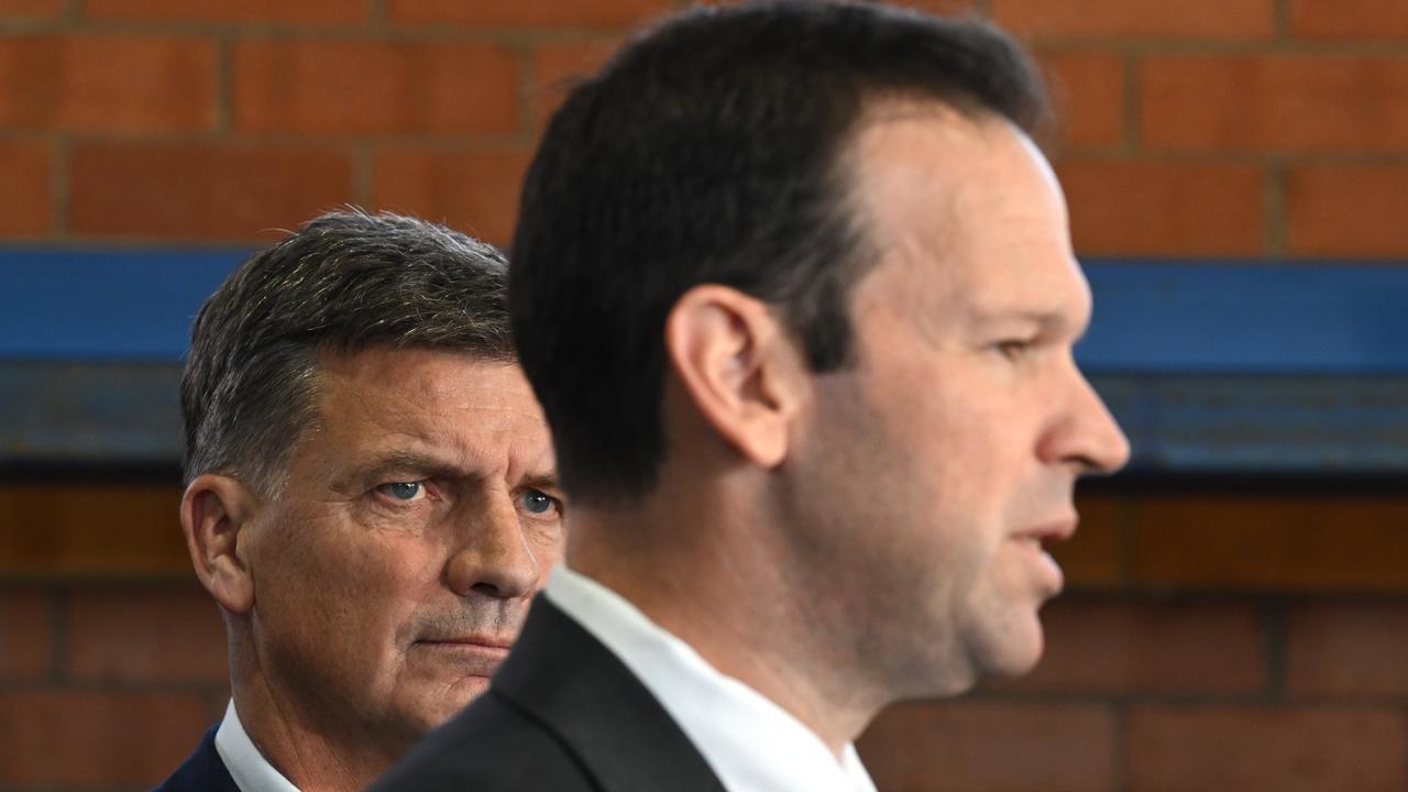 Angus Taylor and Matt Canavan