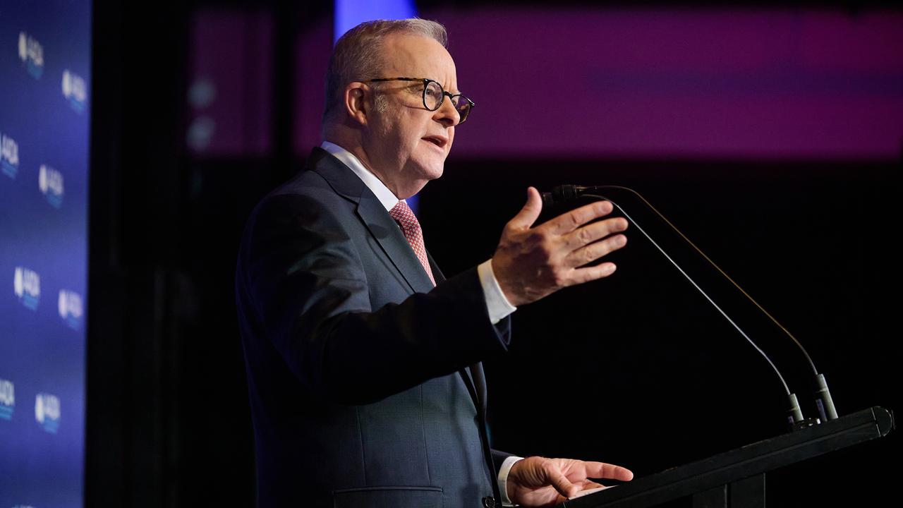 Albanese US comments