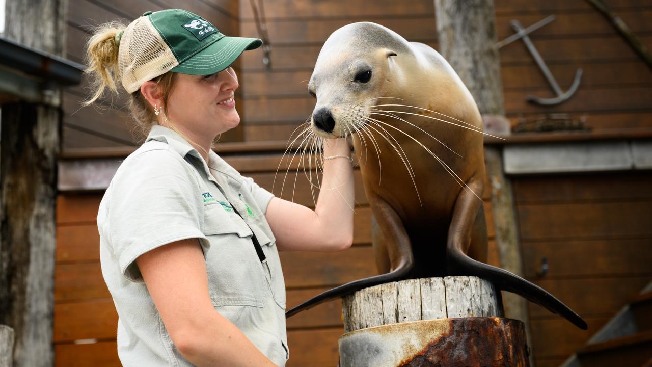 Taronga Zoo Marine Mammal Keeper Michelle Simpson