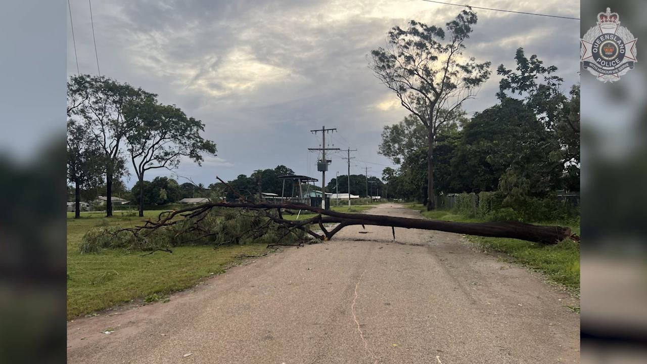 A tree blocks a road