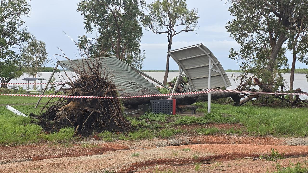 A falling tree crushed a BBQ shelter