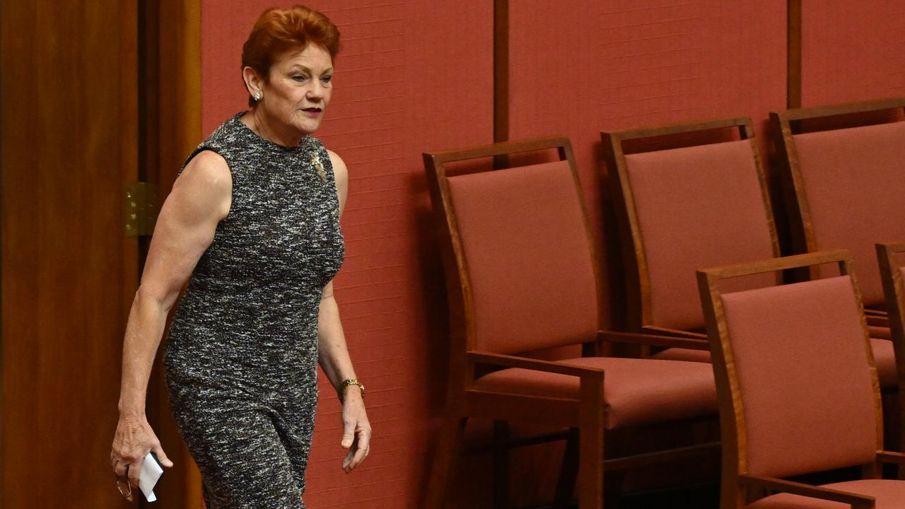 One Nation leader Pauline Hanson
