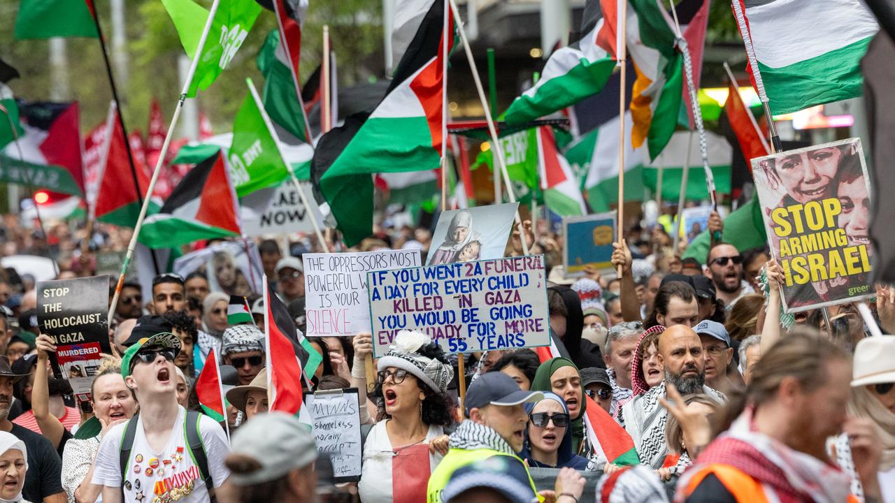 Pro-Palestine protest (file)
