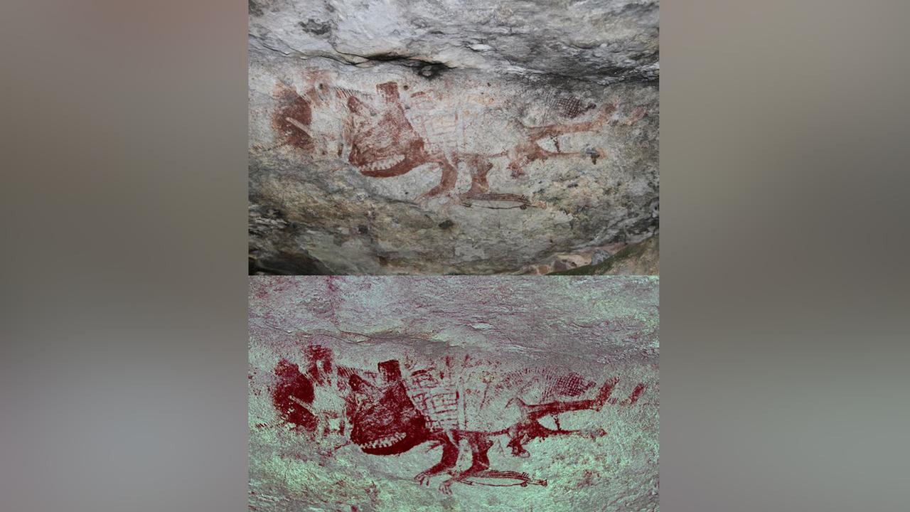THYLACINE ROCK ART