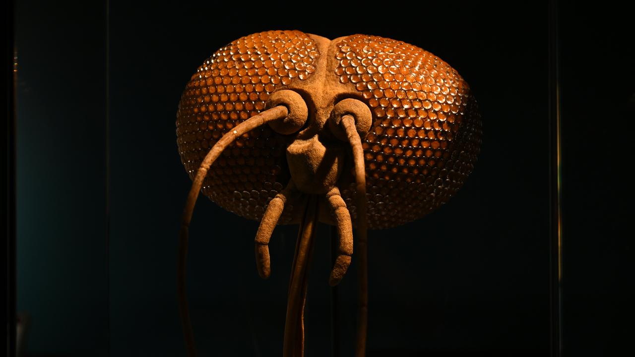 BLOODSUCKERS EXHIBITION