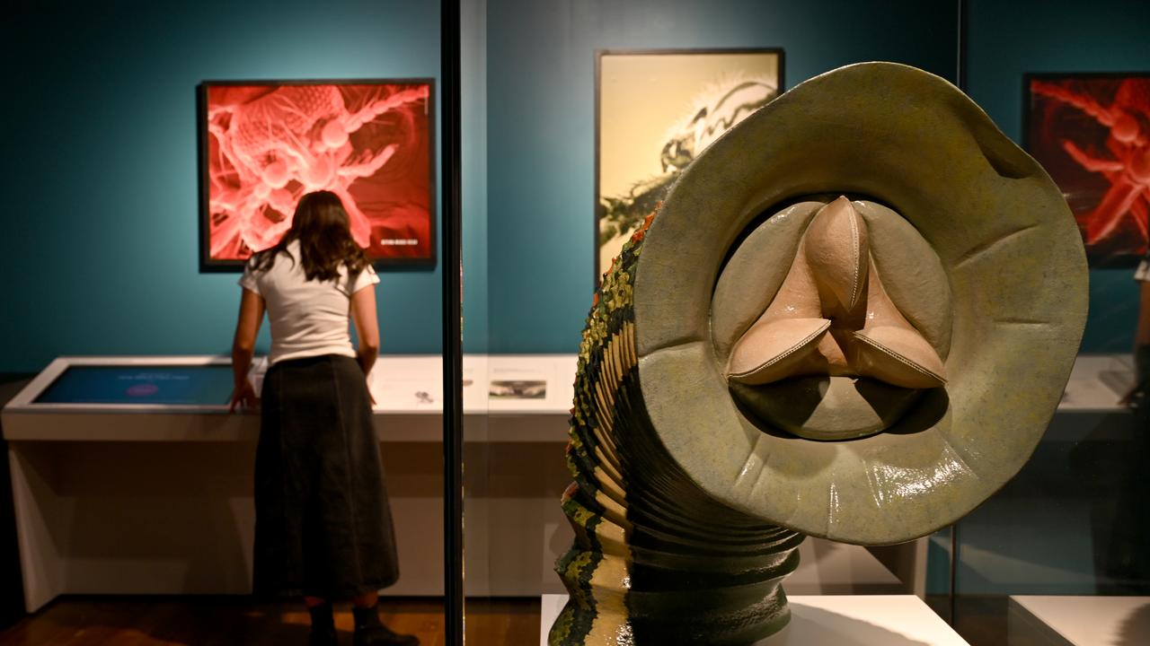 BLOODSUCKERS EXHIBITION