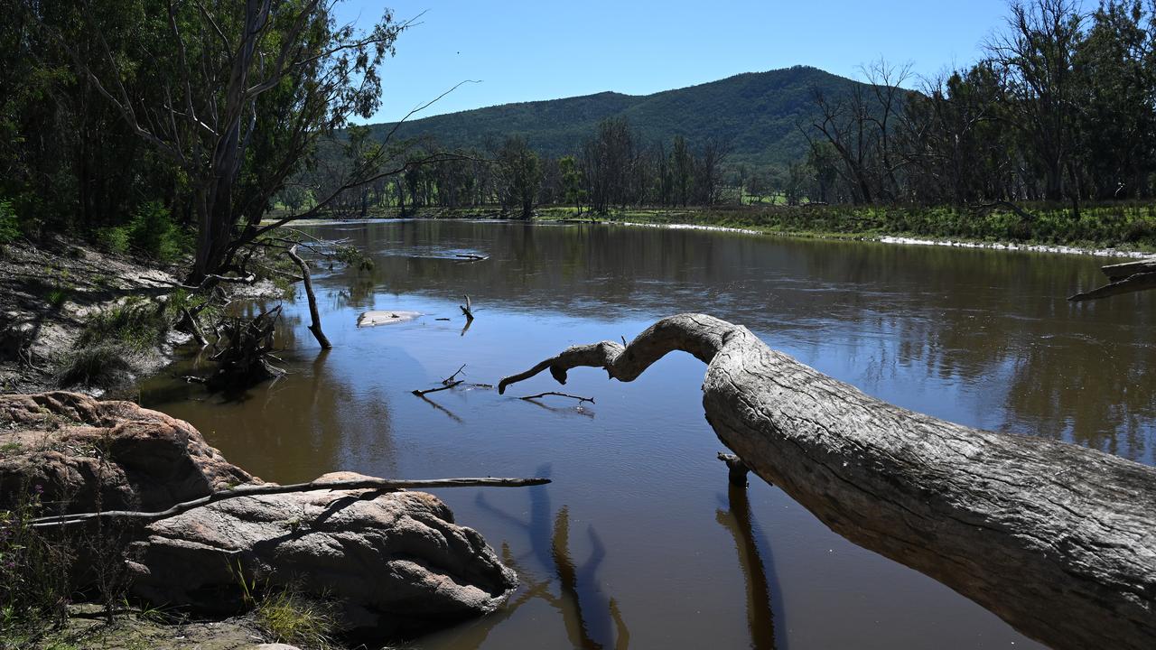 A section of the Murray River near Thologolong