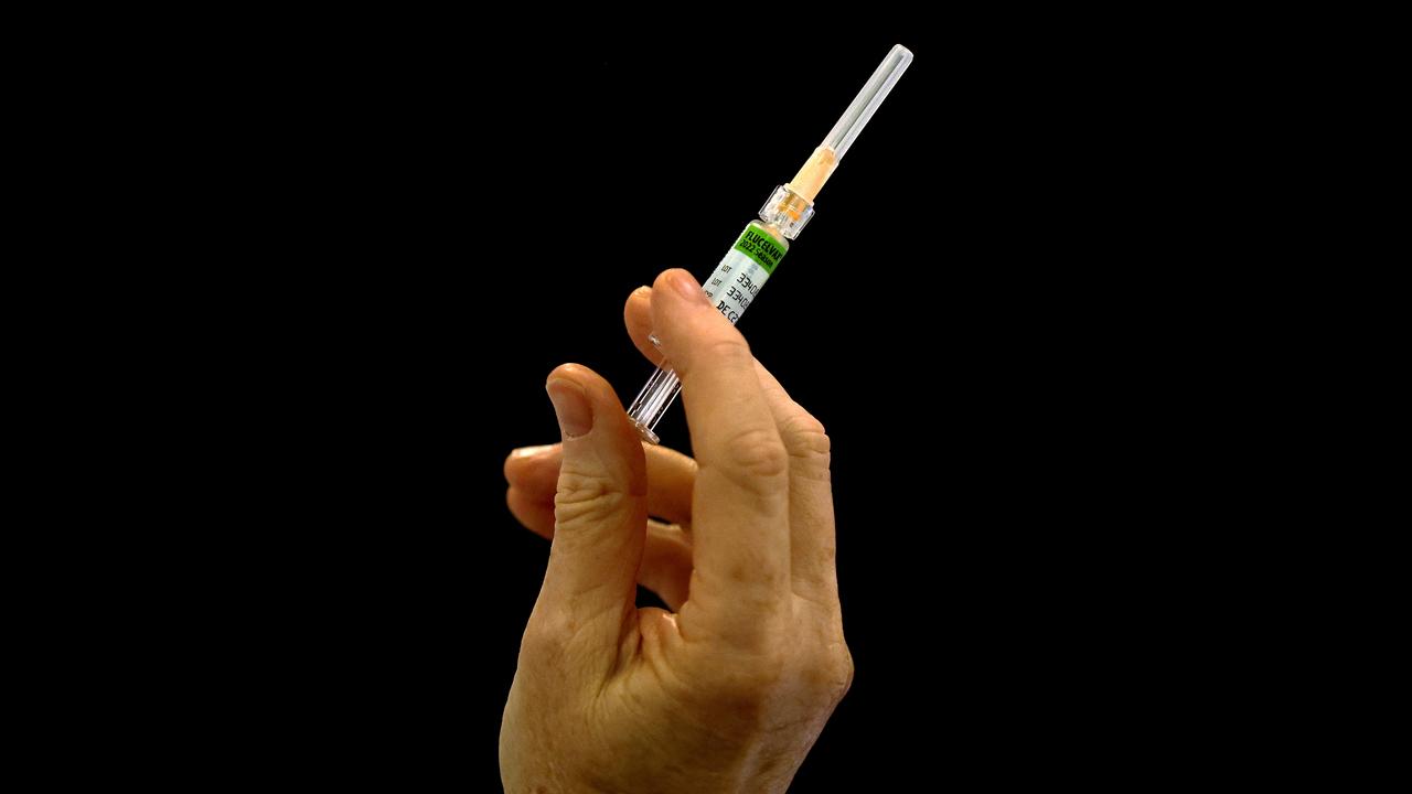 A flu vaccine (file image)