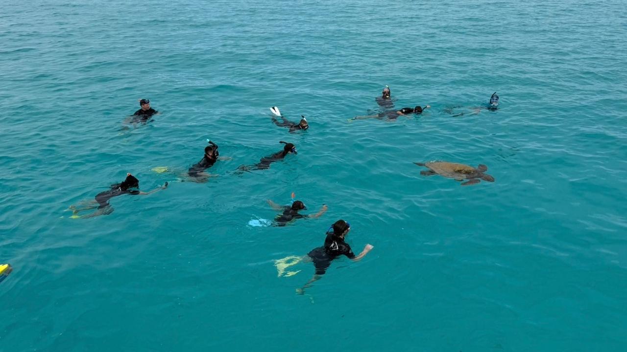 Tourists snorkel on Ningaloo Reef (file image)