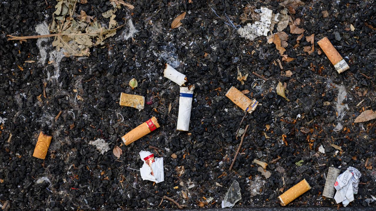 Cigarette butts