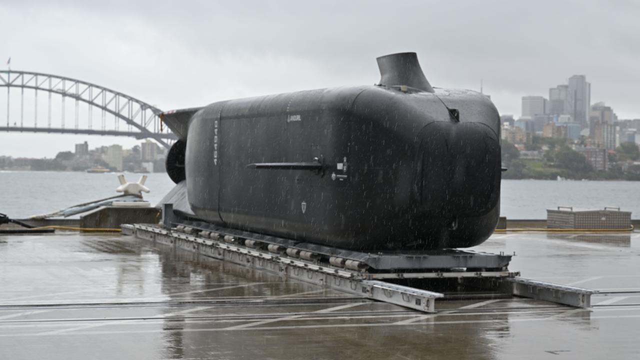 A Ghost Shark (file image)