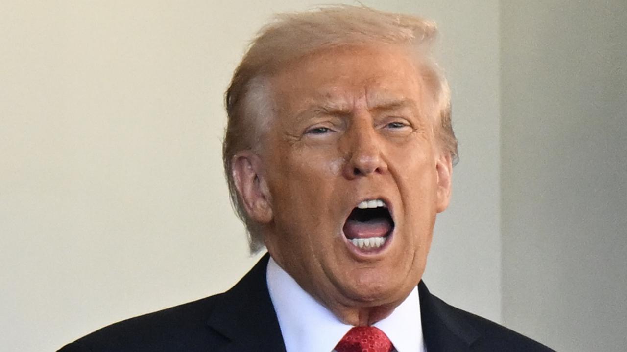 US President Donald Trump (file image)