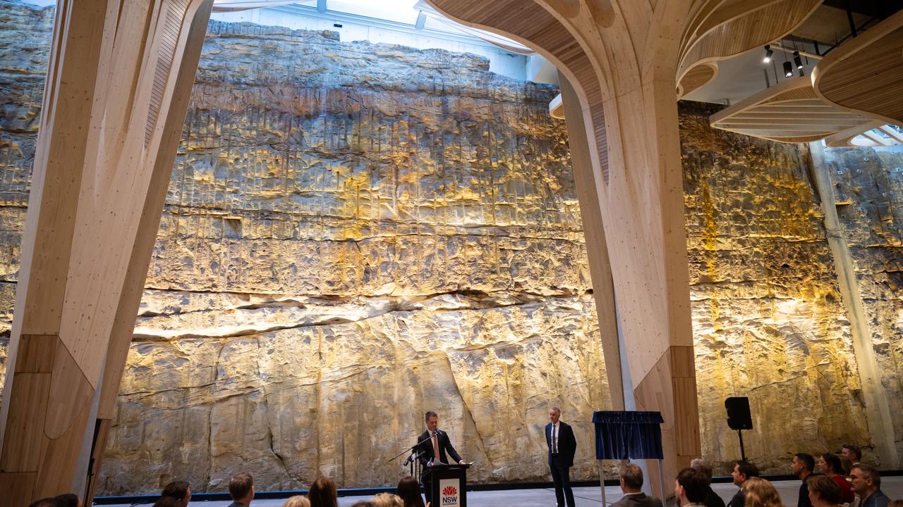 CHRIS MINNS CUTAWAY BARANGAROO OPENING