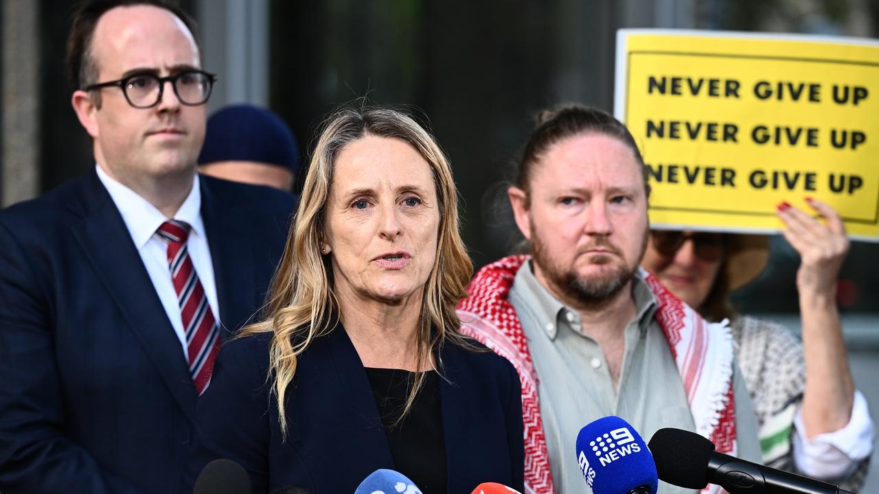 NSW Greens MP Sue Higginson