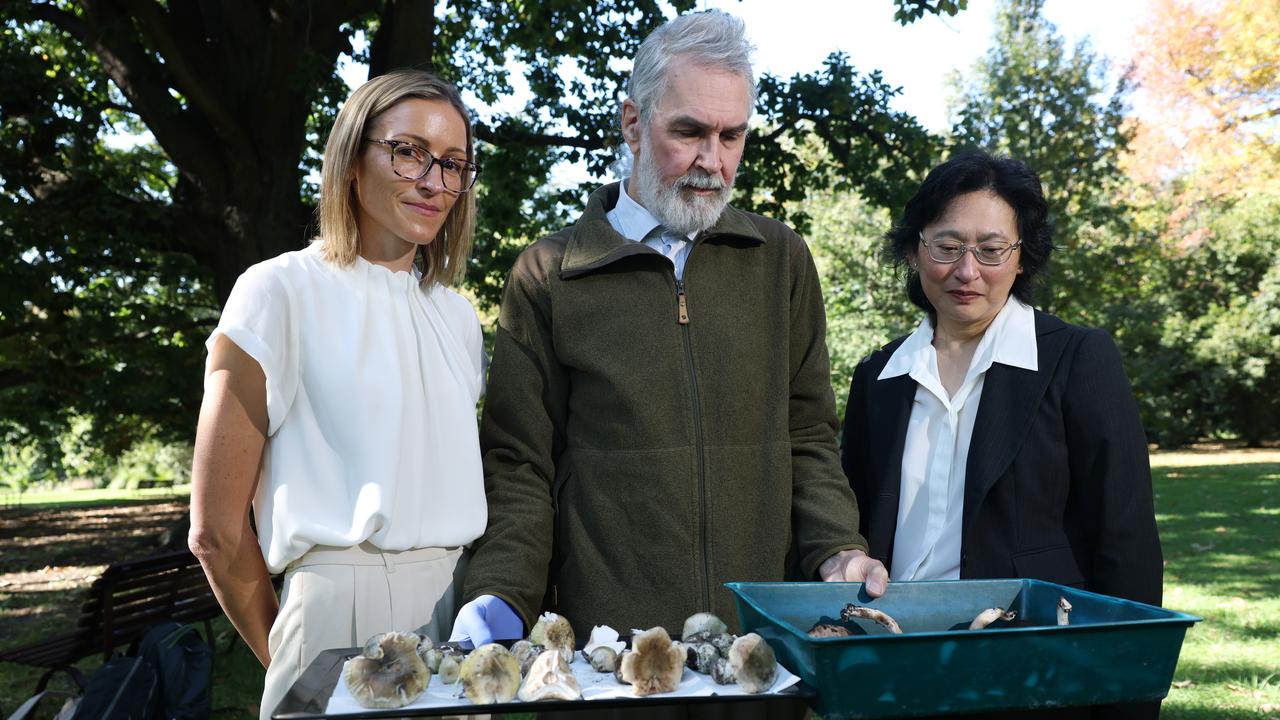 Madeline Heiner, Tom May and Evelyn Wong - Royal Botanic Gardens, Vic