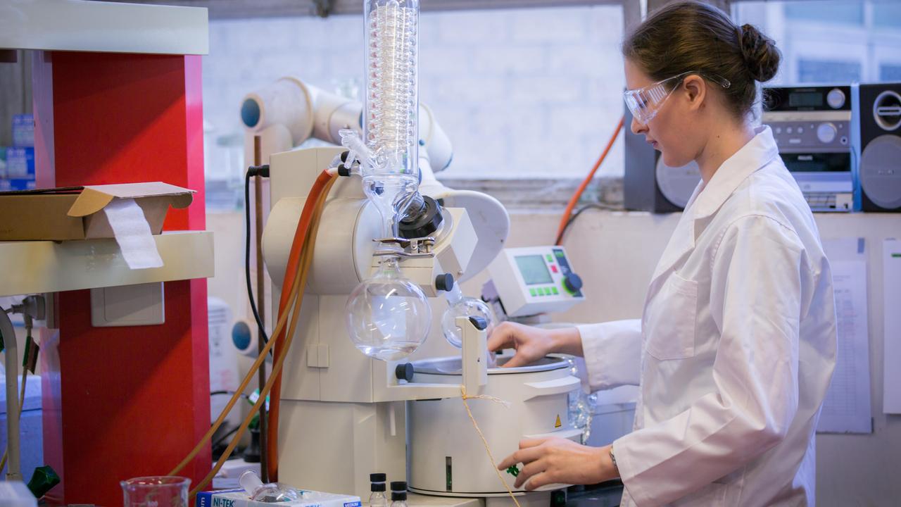 Professor Elizabeth New in Melbourne