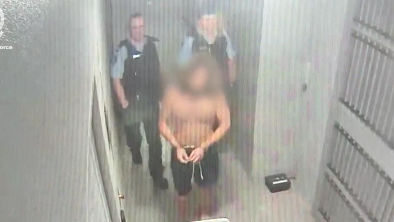 Zayne McMillan arrest