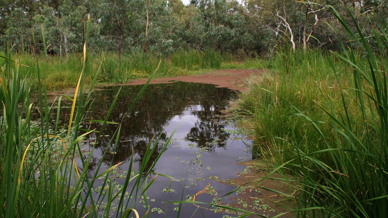 Macquarie Marshes about 230 kms northwest of Dubbo